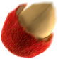 chip2